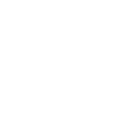 White renewable origin icon of a leaf